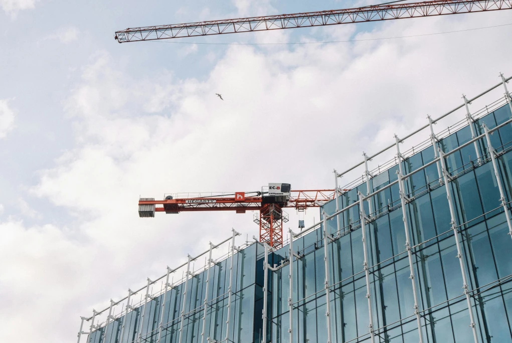 Professional advisor reviewing financial documents for NPA resolution and asset recovery.