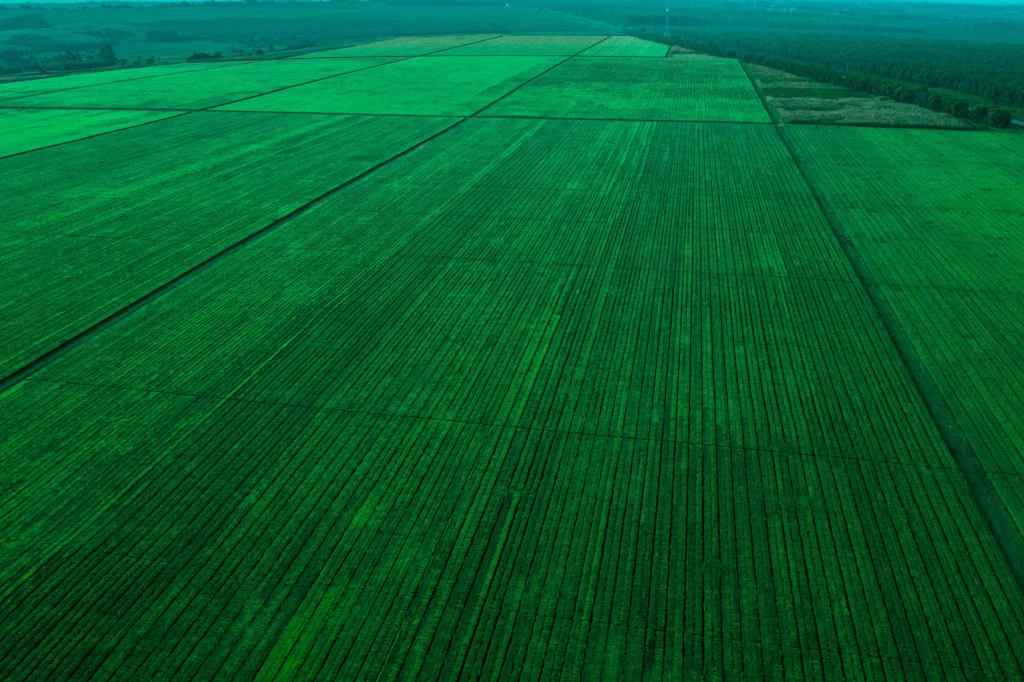 Expansive fertile land representing data-driven agricultural land acquisition for corporate stakeholders.